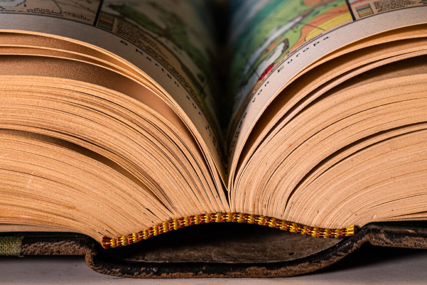 Thyme Of Death: Why cozy mystery book reviews praise this classic